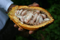 Alkalisiertes Kakaopulver 20-22% | Bio, Vegan, Ohne Zucker